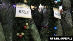 Цены на елки в магазинах Петербурга