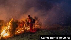 Лясны пажар у Каліфорніі