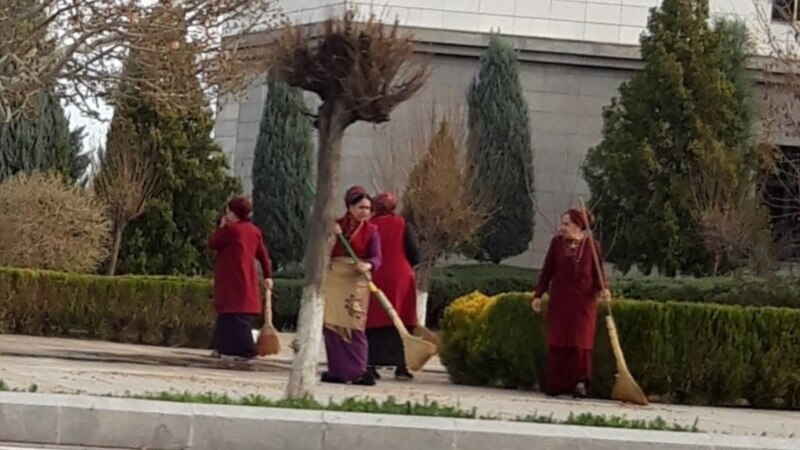 Ýylda millionlarça düýp bag ekilýän Türkmenistanda baglary suwarmak býujetçileriň üstüne ýüklenýär’