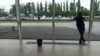 აეროპორტის დარბაზში ჭერიდან წყალი წვეთავს, მეტლახის იატაკზე ვედროები დგას.