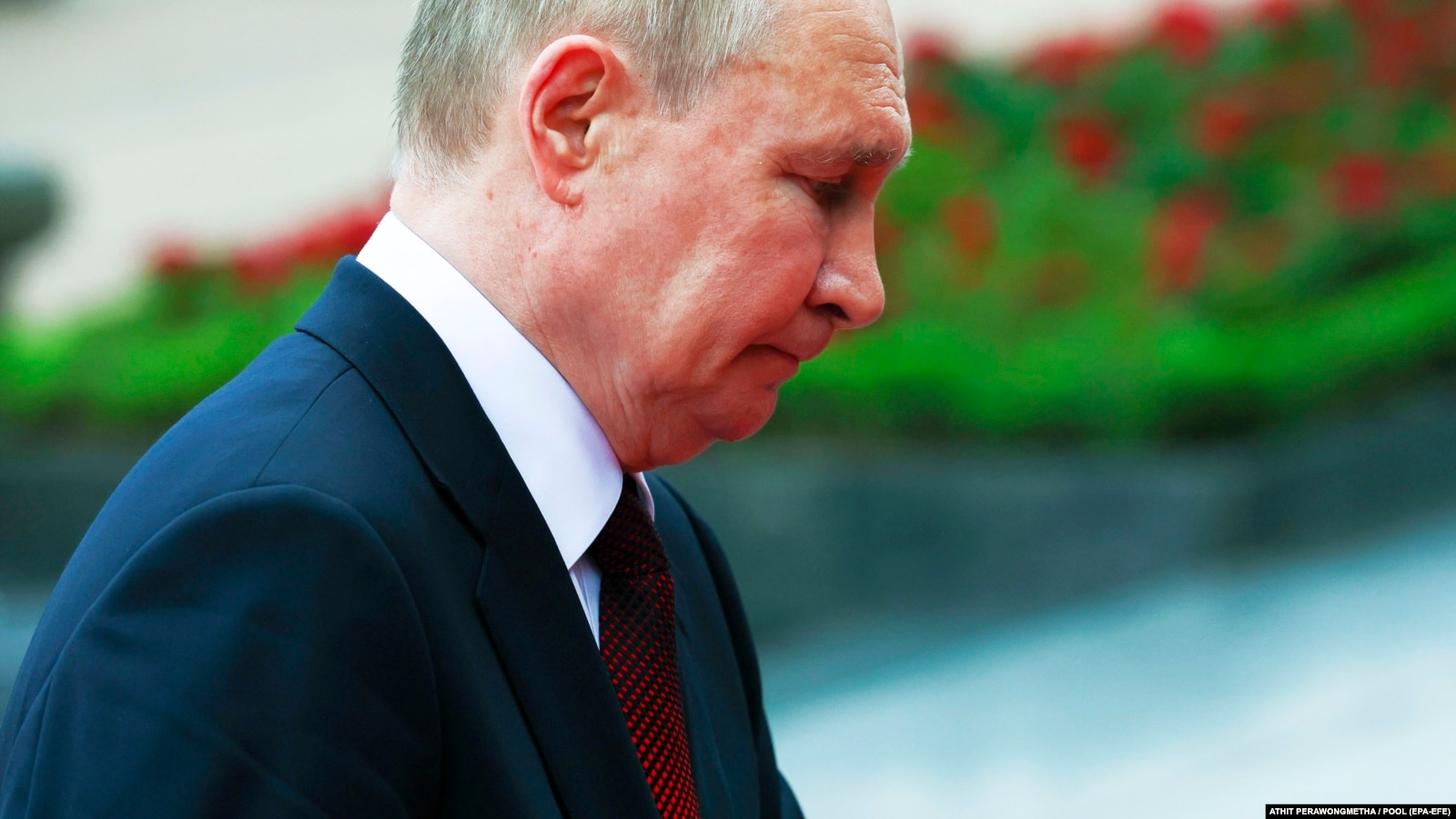 "Это меня снимут, а тебя повесят". Соцсети – о страхе Путина