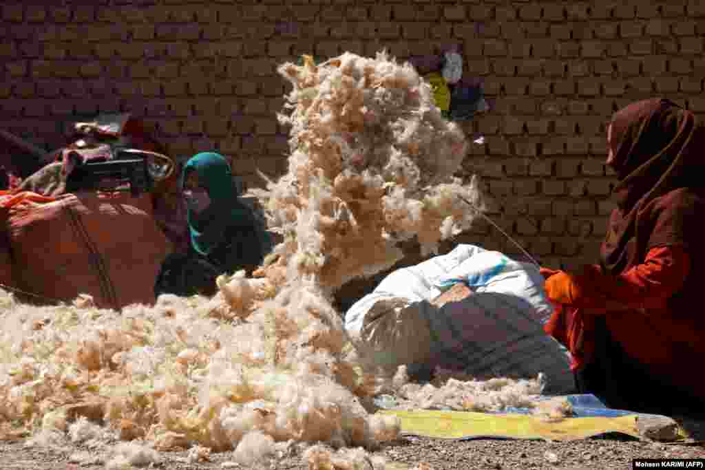 Afghan women clean wool with sticks at a traditional factory in Herat Province.