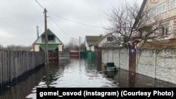 Паводка на Гомельшчыне, 2023 