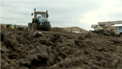 Un fermier ucrainean înlocuiește minele de teren cu noua recoltă 