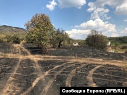  Опожарена земя на метри от къщата на Боряна. 