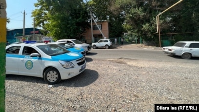 Киска жүнді