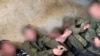 Мобилизованные в "яме" под Курском, Российская Федерация. Фото сделано самими "заключенными"