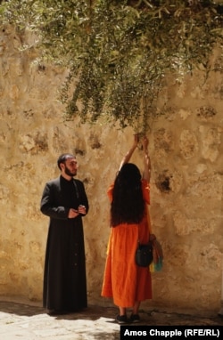 An Armenian woman prays while clasping the leaves of the olive tree where Jesus is said to have been tied as he awaited trial.