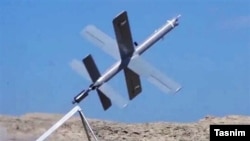 Iranian-made drones have been supplied to Russia in its war against Ukraine.