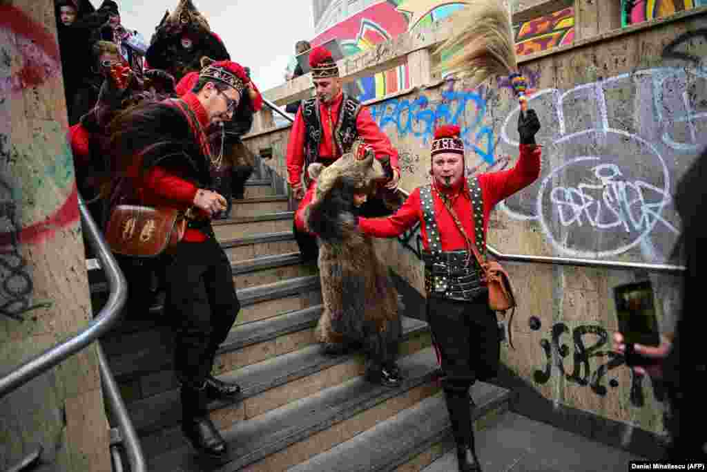 A young &quot;bear&quot; and his minders enter a Bucharest underpass.&nbsp;
