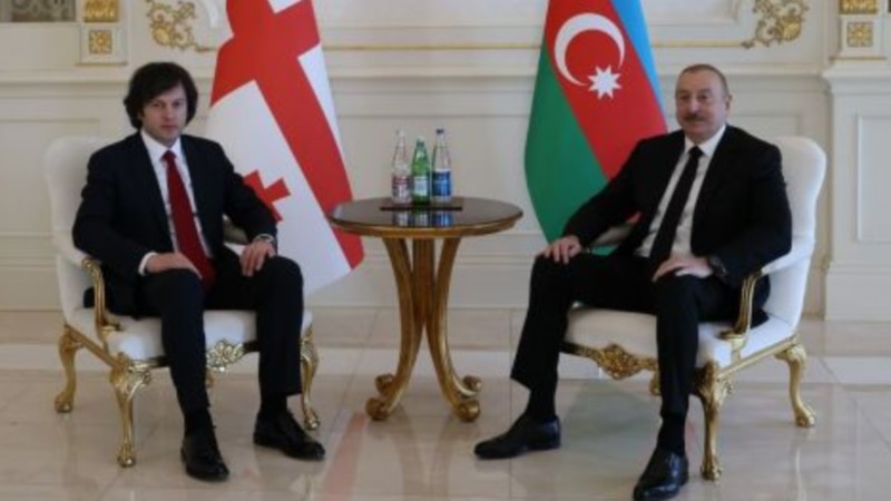 ალტერნატიული დერეფანი ჩვენი ფუნქციის შემავსებელი იქნება - კობახიძე ალიევის განცხადებაზე