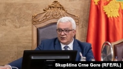 Predsjednik Skupštine Andrija Mandić