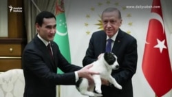 Türkmenistanyň we Türkiýäniň prezidentleri güjük sowgadyny alyşdylar