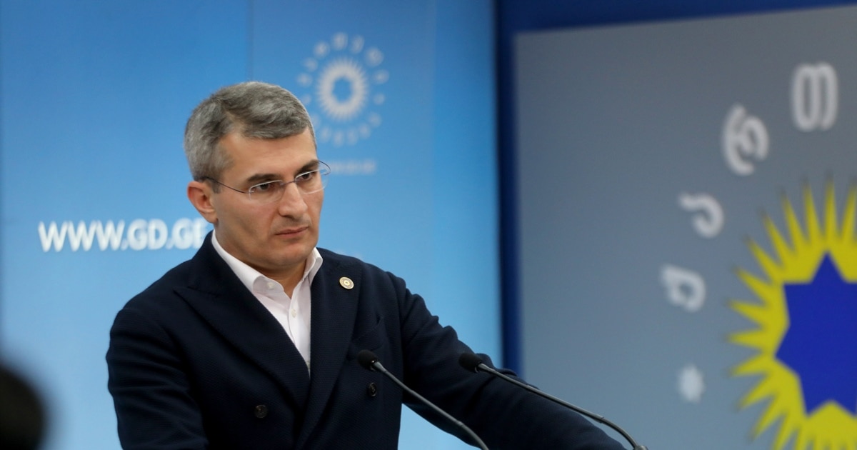 "შეიძლება მართლაც რაღაცა გაიპარა საქართველოდან ან არ გაიპარა" - მდინარაძე "ეფესბეს" განცხადებაზე