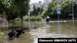 Евакуація триває, додали в МВС