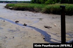 Річка Кам'янка у Нікопольському районі перетворивлася на струмок