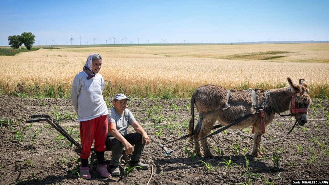 Deși a crescut de zece ori în ultimii 20 de ani, salariul minim din România rămâne printre cele mai mici din Uniunea Europeană. Mulți trăiesc la limita subzistenței și nu au parte nici măcar de acesta.