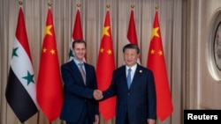 Глава Китая Си Цзиньпин пожимает руку Башару Асаду во время их встречи в китайском городе Ханьчжоу. 22 сентября 2023 года