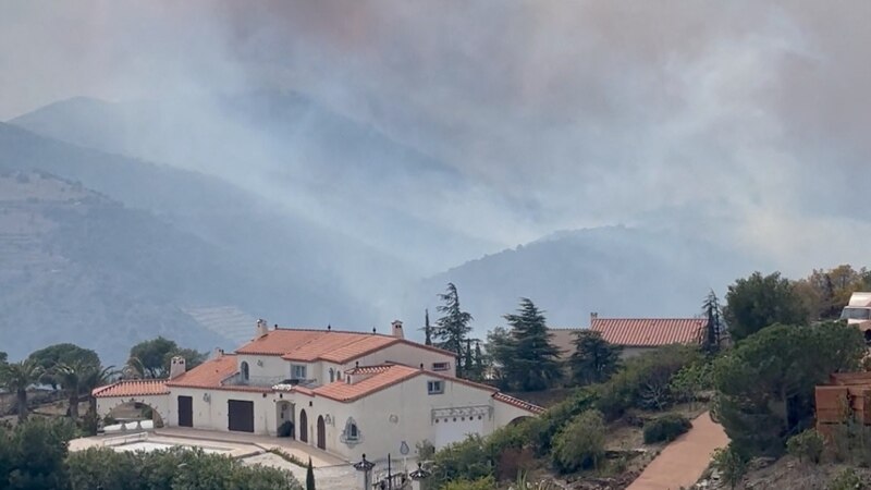Пожар на границата меѓу Шпанија и Франција уништи илјада хектари шума