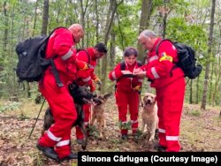 Cei 7 membri ai echipei României s-au întors din misiune. Analizează modul în care au lucrat în teren, oameni și animale.