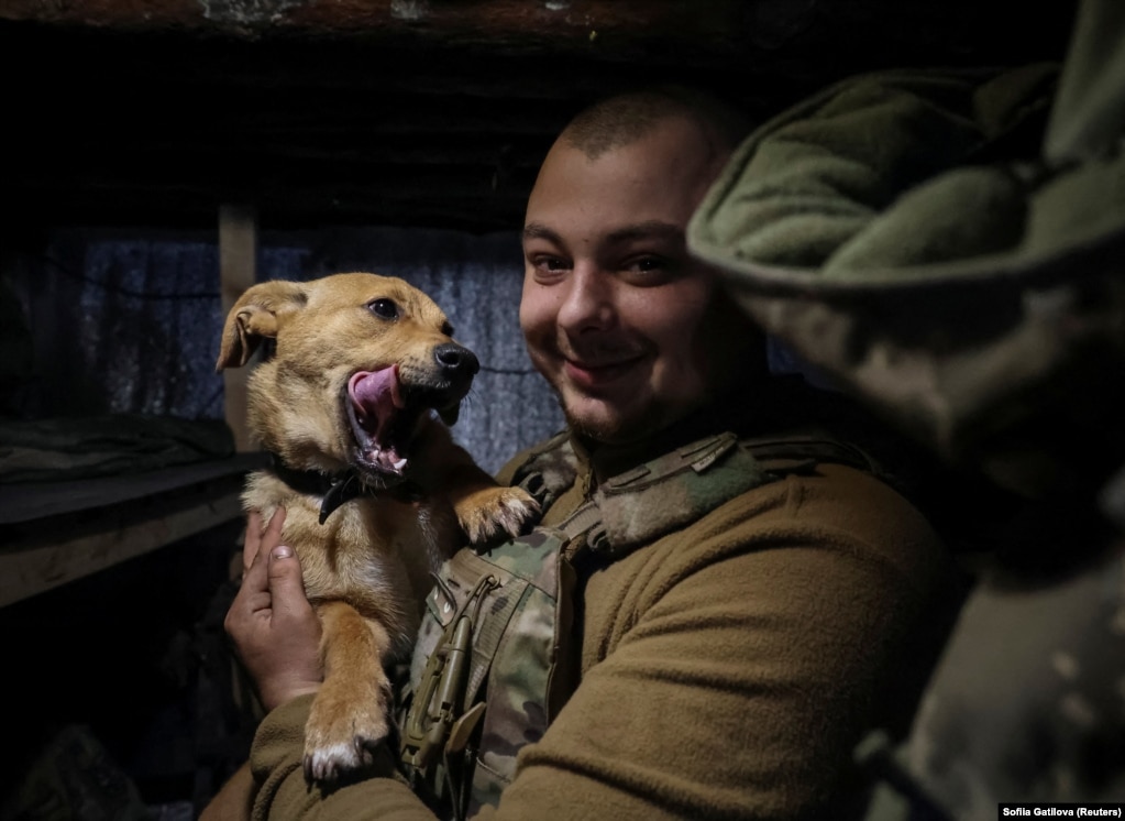 Një ushtar ukrainas nga Brigada 3 e Veçantë Sulmuese duke pozuar për një fotografi me një qen në një strehë në pozicionin e tyre të vijës së parë pranë Bahmutit më 23 prill. Për shumë ushtarë, roli i këtyre maskotave me gëzof është ai i rehatisë dhe mbështetjes emocionale.&nbsp;&nbsp;