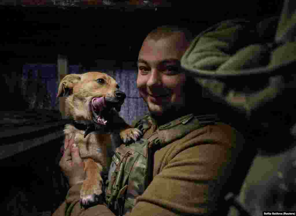 Një ushtar ukrainas nga Brigada 3 e Veçantë Sulmuese duke pozuar për një fotografi me një qen në një strehë në pozicionin e tyre të vijës së parë pranë Bahmutit më 23 prill. Për shumë ushtarë, roli i këtyre maskotave me gëzof është ai i rehatisë dhe mbështetjes emocionale.&nbsp;&nbsp;