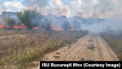 Aproximativ 70 de pompieri încearcă să stingă un incendiu care a ars astăzi 30 de hectare de vegetație uscată din nordul Capitalei.