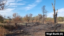 22 de incendii au avut loc în perimetru în ultimii ani.