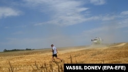 A farmer walks in a field during harvest near the town of Shabla, Bulgaria, in July.