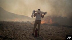 Лише за останні 24 години в Греції спалахнула 61 лісова пожежа