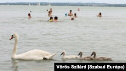 Strandolók Balatonfüreden