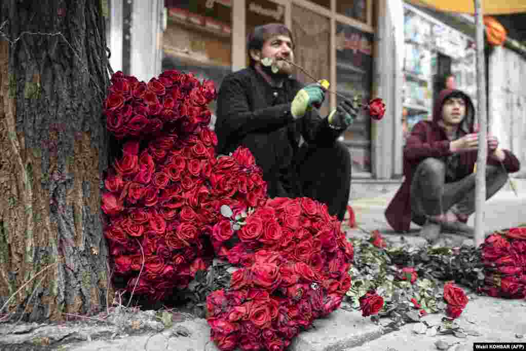 Shitësit afganë të trëndafilave presin klientët përgjatë një rruge me rastin e Ditës së Shën Valentinit në zonën Shar-e-Naw të Kabulit, më 14 shkurt.