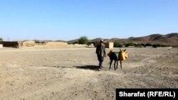 خشکسالی و کمبود آب آشامیدنی در هلمند