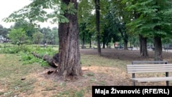 Park Tašmajdan u centru Beograda nakon oluje, 20. jul