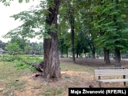 Park Tašmajdan u centru Beograda nakon oluje, 20. jul.