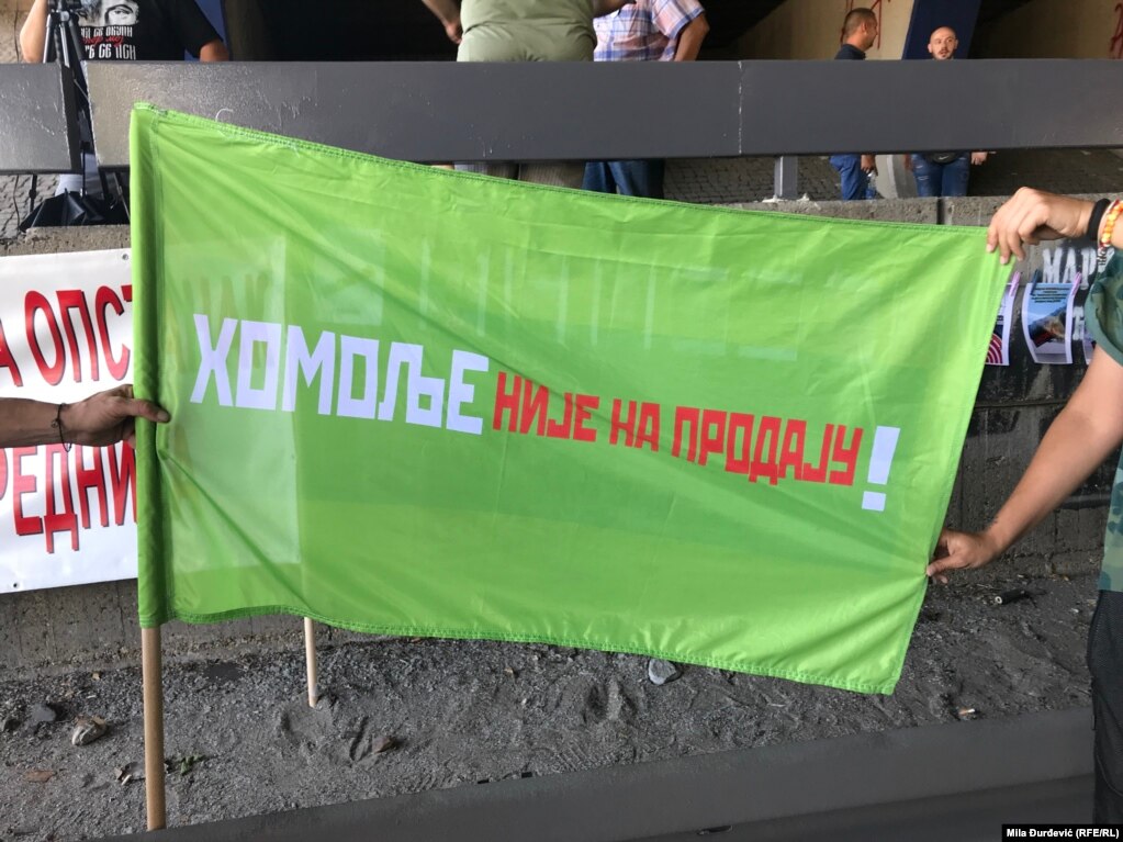 Mia Štal, jedna od učesnica protesta iz Beograda, sa momkom se preselila na Homolje na istoku Srbije gde se, kako je rekla u razgovoru za RSE, dve-tri godine bavi zaštitom prirode. Na protest je došla kako bi skrenula pažnju na ekološke probleme tog kraja. &nbsp; &quot;Ilegalna seča koja je prevršila svaku meru, imamo zaštićene vrste poput risa koje su ugrožene i mislim da ljudi u Srbiji nisu dovoljno upoznati sa tim&quot;, rekla je Štal.&nbsp; 