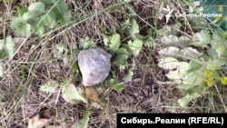 Камень на дачном участке, по словам хозяев, брошенный цыганскими детьми