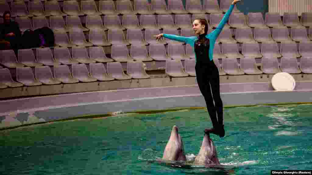 Eva Leontyeva ukrán delfinidomár két delfinnel a romániai Konstanca delfináriumában április 4-én.&nbsp;A delfinek (Kiki, Maja, Maruszja és Veterok) és az oroszlánfókák (Aleksz, Mary és Zoszja) ukrán trénereikkel együtt találtak új otthonra Romániában, ahol ismét közönség előtt tudnak fellépni - a gyerekek nagy örömére