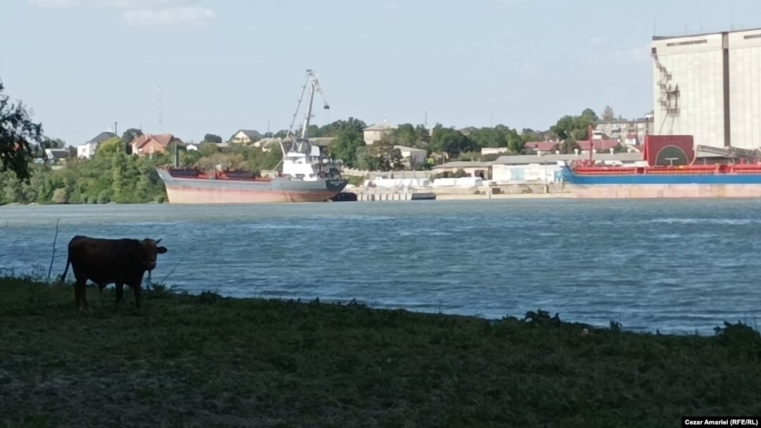 A cow grazes on the Romanian side, with a Ukrainian port visible in background.