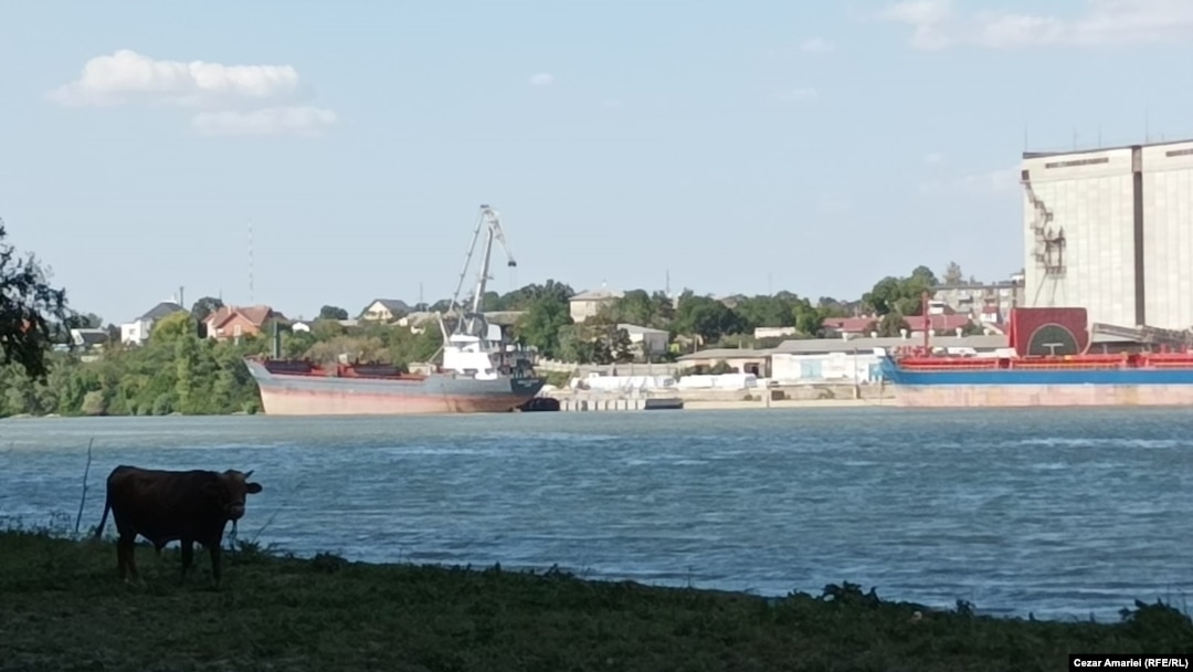 În timp ce pe malul ucrainean e o activitate portuară intensă, malul românesc e mai de folos animalelor decât localnicilor.