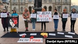 Akcija "Stop femicidu" u Novom Sadu, 29. februar 2024. godine