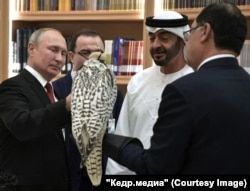 Владимир Путин дарит белого кречета наследному принцу ОАЭ, правителю Абу-Даби Мухаммеду бен Заиду Аль Нахайяну. Фото: РИА Новости