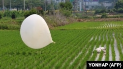 Один из воздушных шаров с мусором, которые запускают из КНДР в сторону Южной Кореи