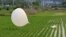 Un balon suspect aterizând pe un câmp de orez de lângă Incheon (Coreea de Sud) la 1 iunie 2024. 