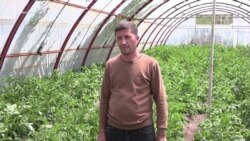 Անիի ցուրտը և Զոհրաբի ջերմոցը
