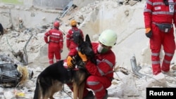 Član iranskog spasilačkog tima drži psa spasioca dok stoji na ruševinama oštećene zgrade, nakon potresa u Alepu, Sirija, 10. februara 2023. 