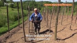 'Valjda je normalno da pomognemo jedni drugima'