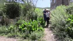 «Առանց ուղեկցի գրեթե հնարավոր չէ». տեսողական խնդիրներ ունեցող վանաձորցիները դժվարությունների են բախվում