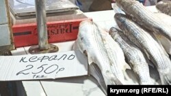 Привалок в рыбном павильоне на Центральном рынке Керчи