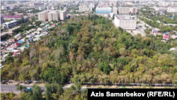 Курулуштардын курчоосунда калган Бишкектеги Энвер Гареев атындагы ботаникалык бак.